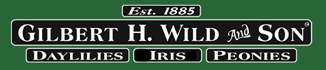 Gilbert H. Wild Logo