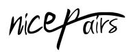 Nicepairs Logo