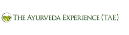 The Ayurveda Experience Logo