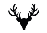 Taxidermy Store Image
