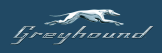 Greyhound Store Image