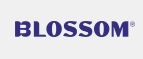 Blossom Beauty Store Image