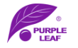 Purple Leaf